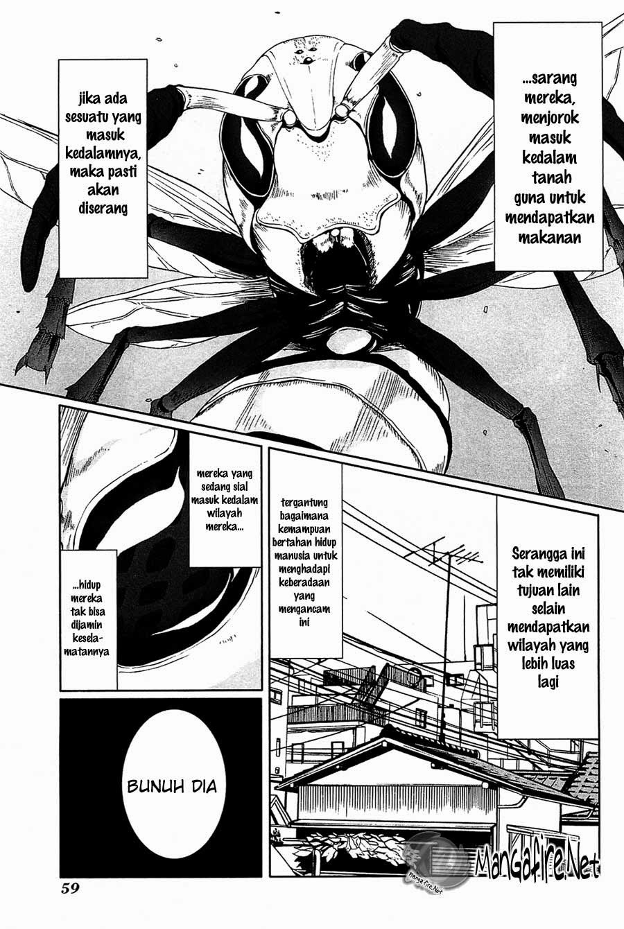 Arachnid Chapter 02 Gambar 4