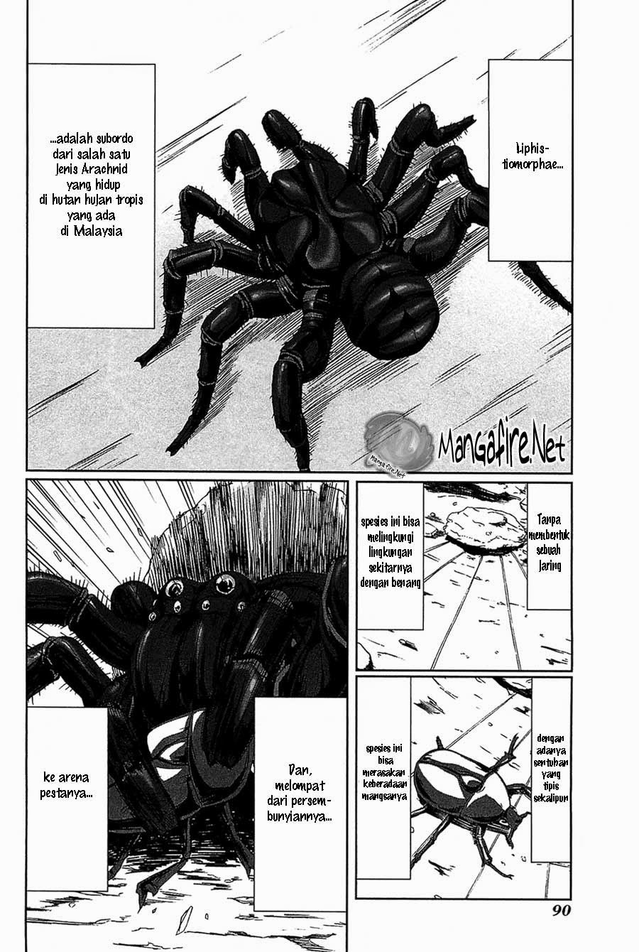 Arachnid Chapter 03 Gambar 3