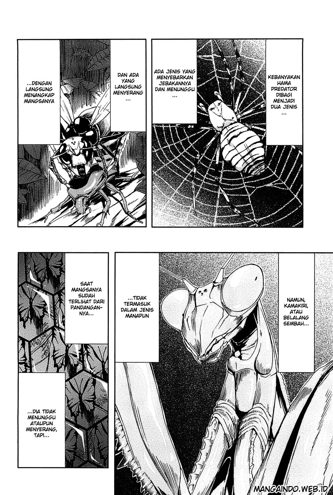 Arachnid Chapter 06 Gambar 35