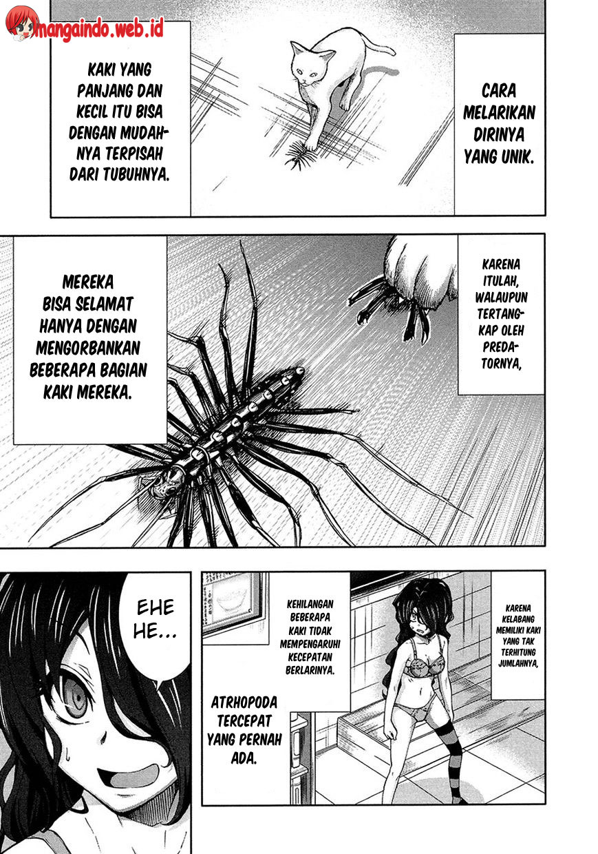 Arachnid Chapter 40 Gambar 20