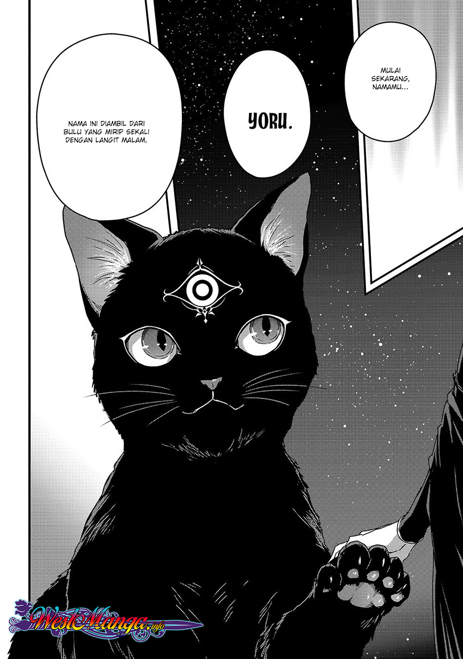 Assassin de aru ore no Sutetasu ga Yuusha yori mo Akiraka ni Tsuyoi Nodaga Chapter 11 Gambar 22