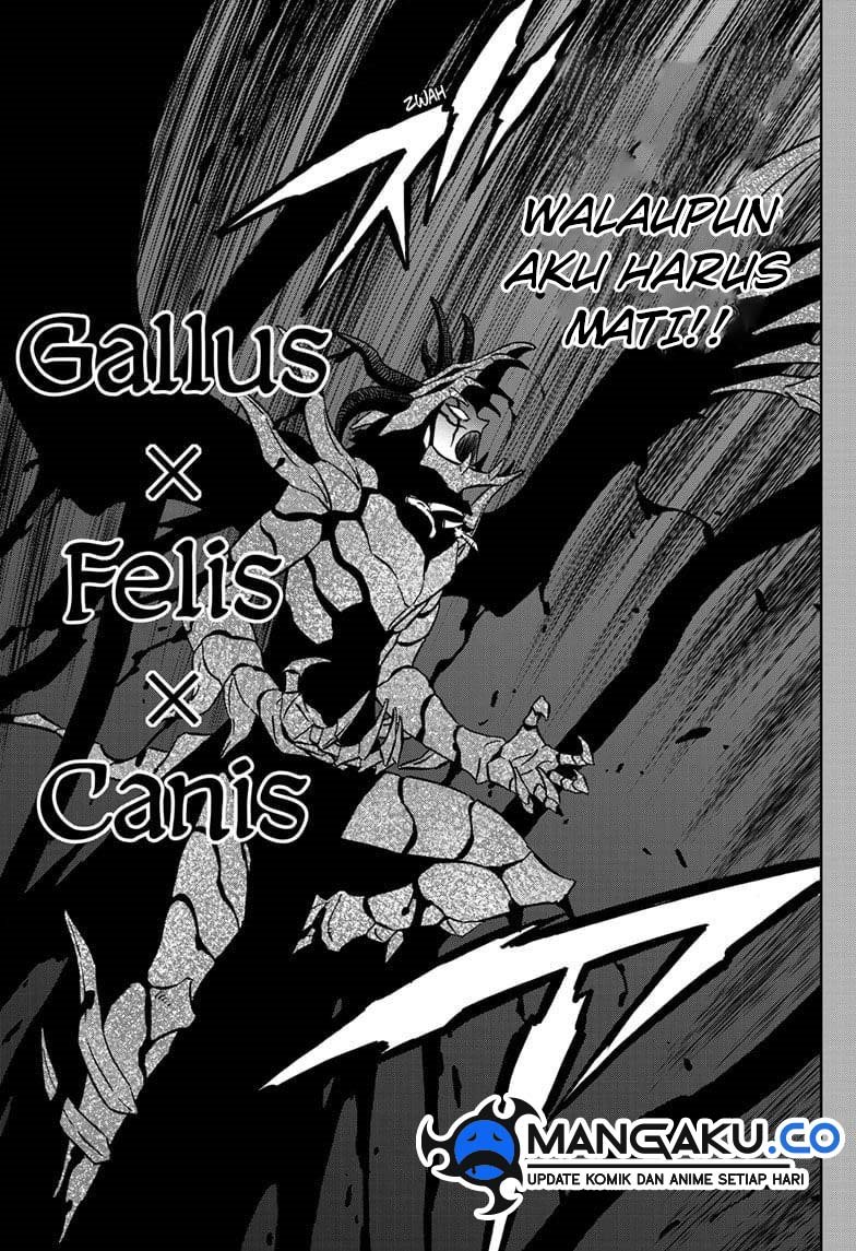 Black Clover Chapter 375 Gambar 4