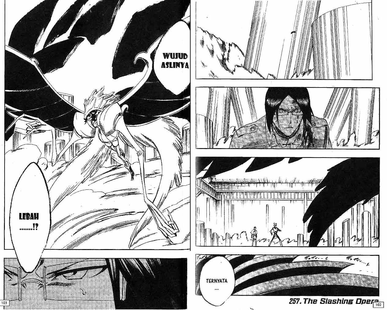 Bleach Chapter Vol 29 Gambar 52
