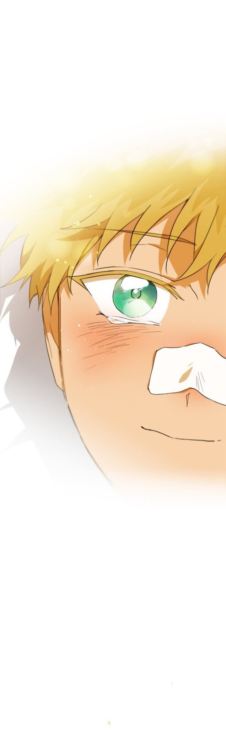Blinded by the Setting Sun Chapter 60 Gambar 21