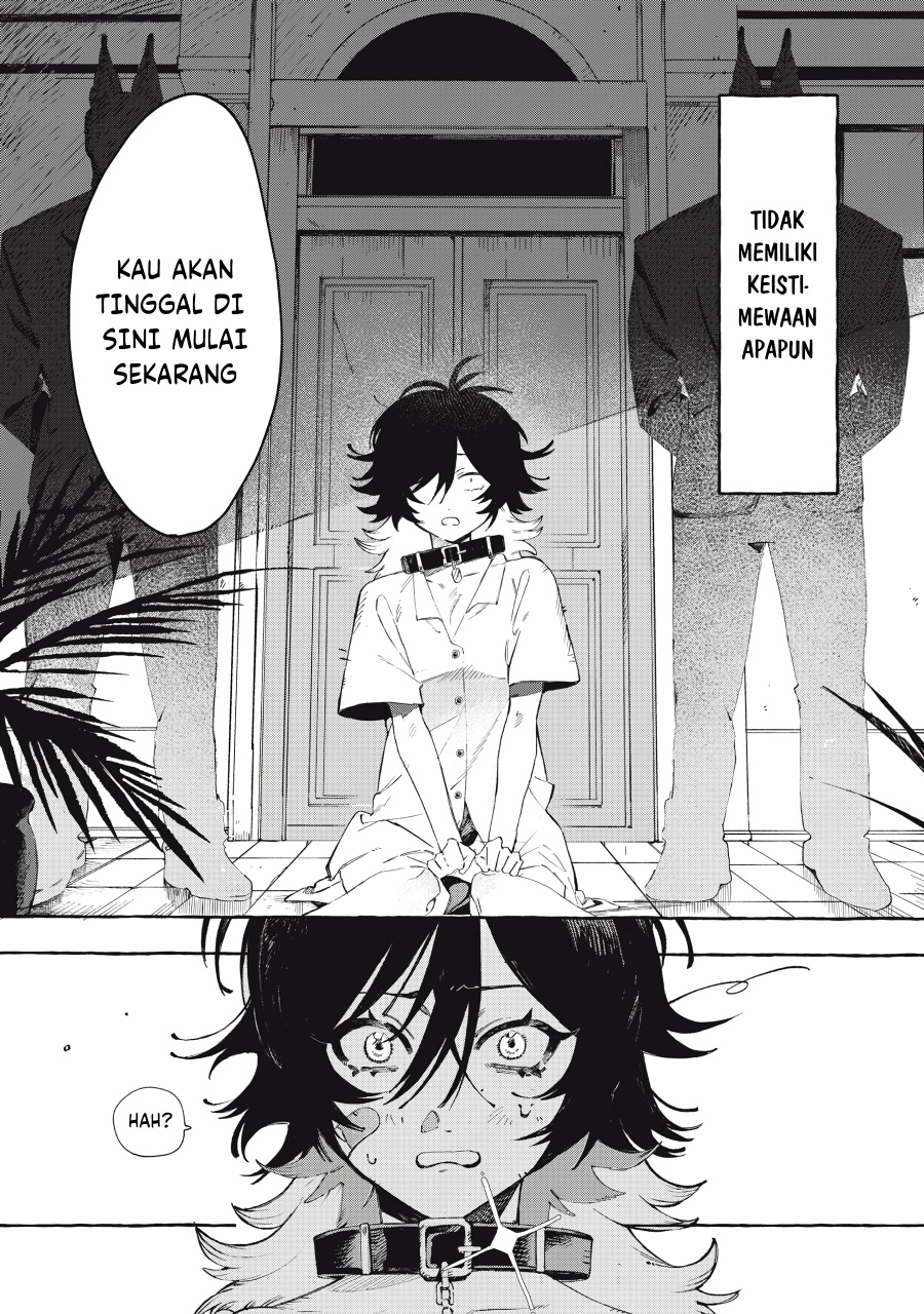 DOG MATIC Chapter 01 Gambar 2