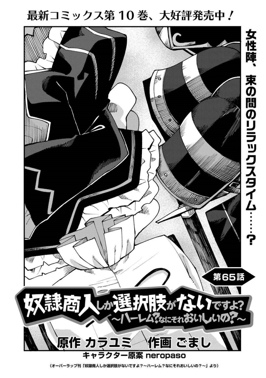 Dorei Shounin shika Sentakushi ga nai desu yo? ~Harem? Nani sore oishii no?~ Chapter 65 Gambar 3