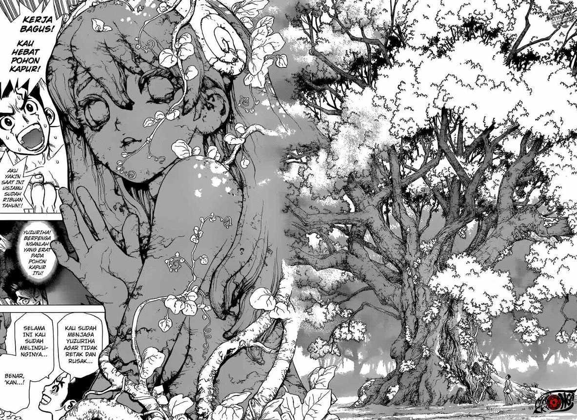 Dr. Stone Chapter 01 Gambar 35