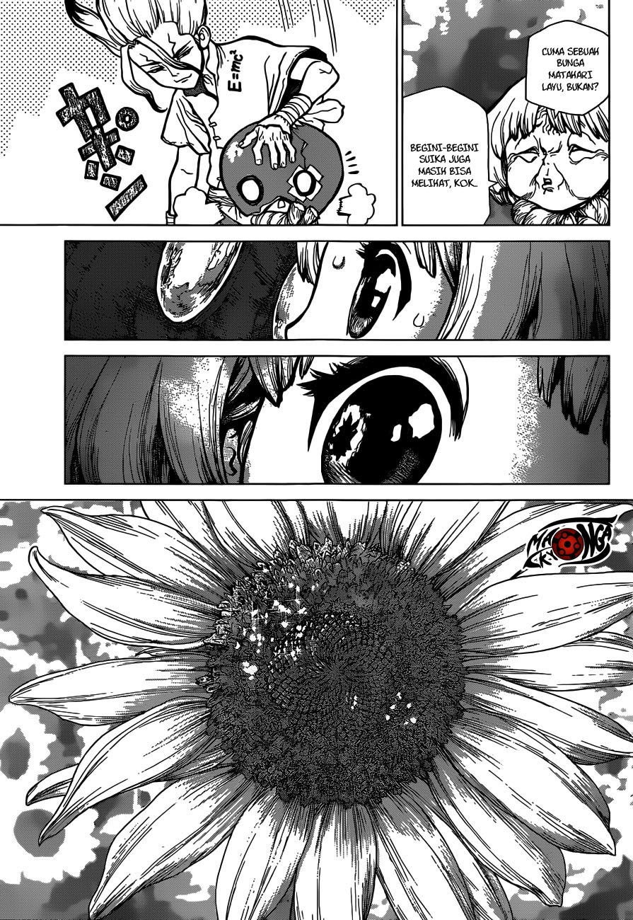 Dr. Stone Chapter 28 Gambar 13