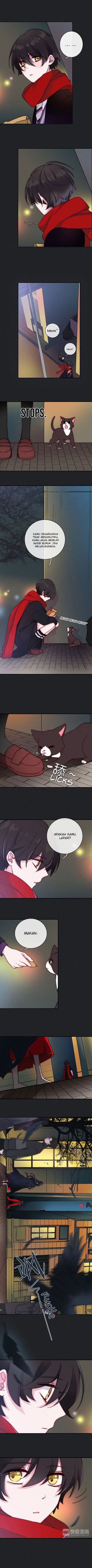 Falling in the Night with You Chapter 01 Gambar 6