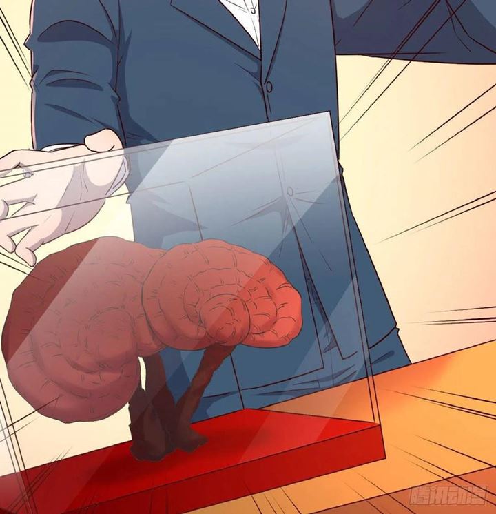 Full-level Peach Blossom Acupuncturist Chapter 41 Gambar 38