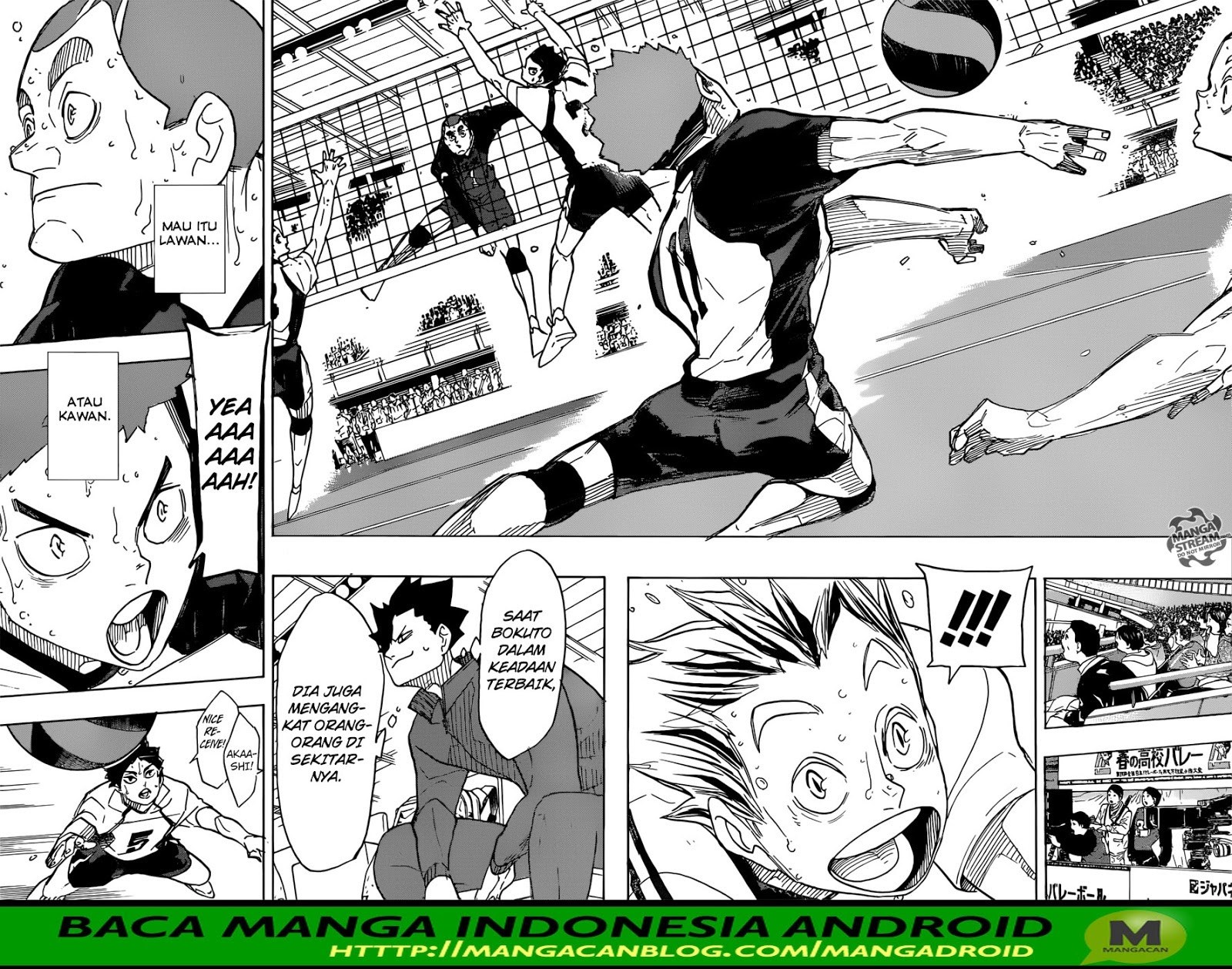 Haikyuu!! Chapter 336 Gambar 3