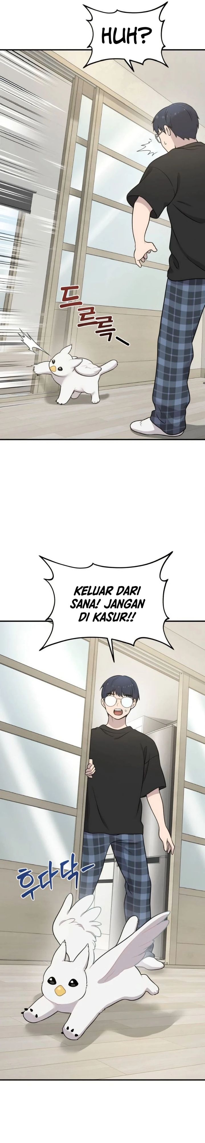 Hello, Fluffy Griffin! Chapter 02 Gambar 32