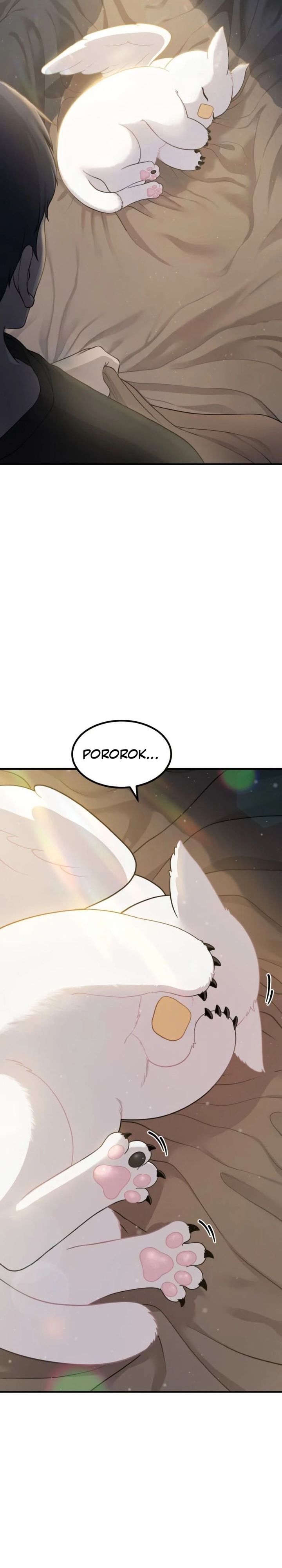 Hello, Fluffy Griffin! Chapter 02 Gambar 41