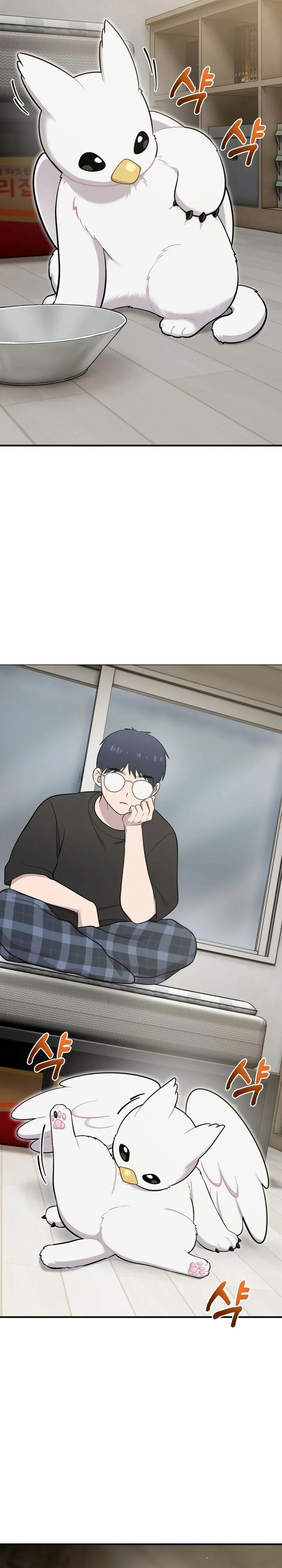 Hello, Fluffy Griffin! Chapter 13 Gambar 21