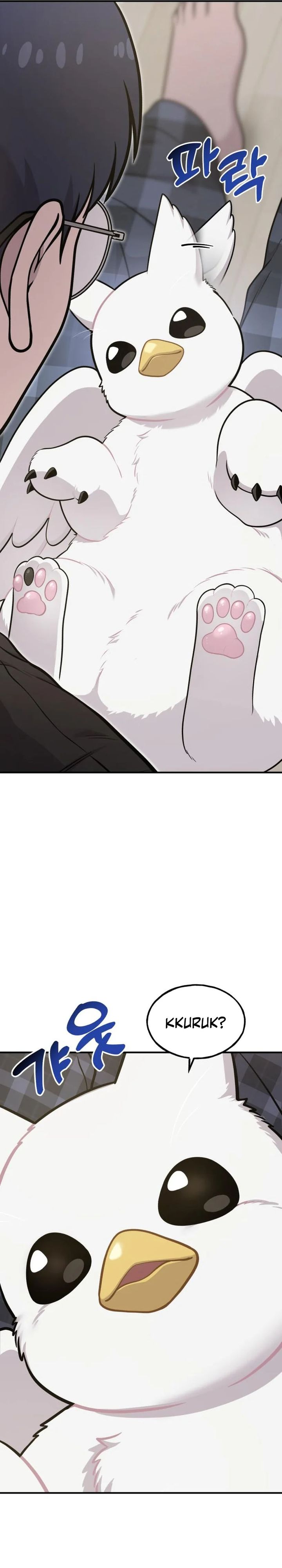 Hello, Fluffy Griffin! Chapter 17 Gambar 16