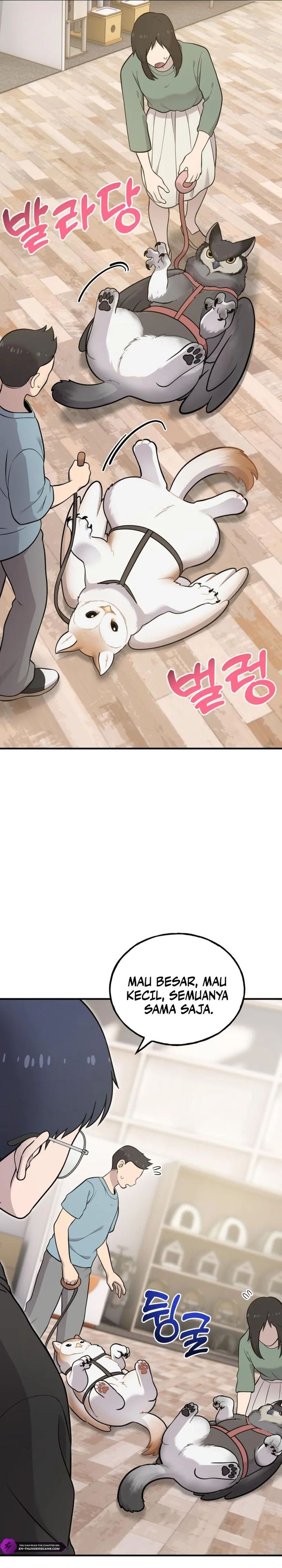 Hello, Fluffy Griffin! Chapter 17 Gambar 25