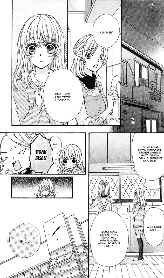 Hiyokoi Chapter 4 Gambar 26