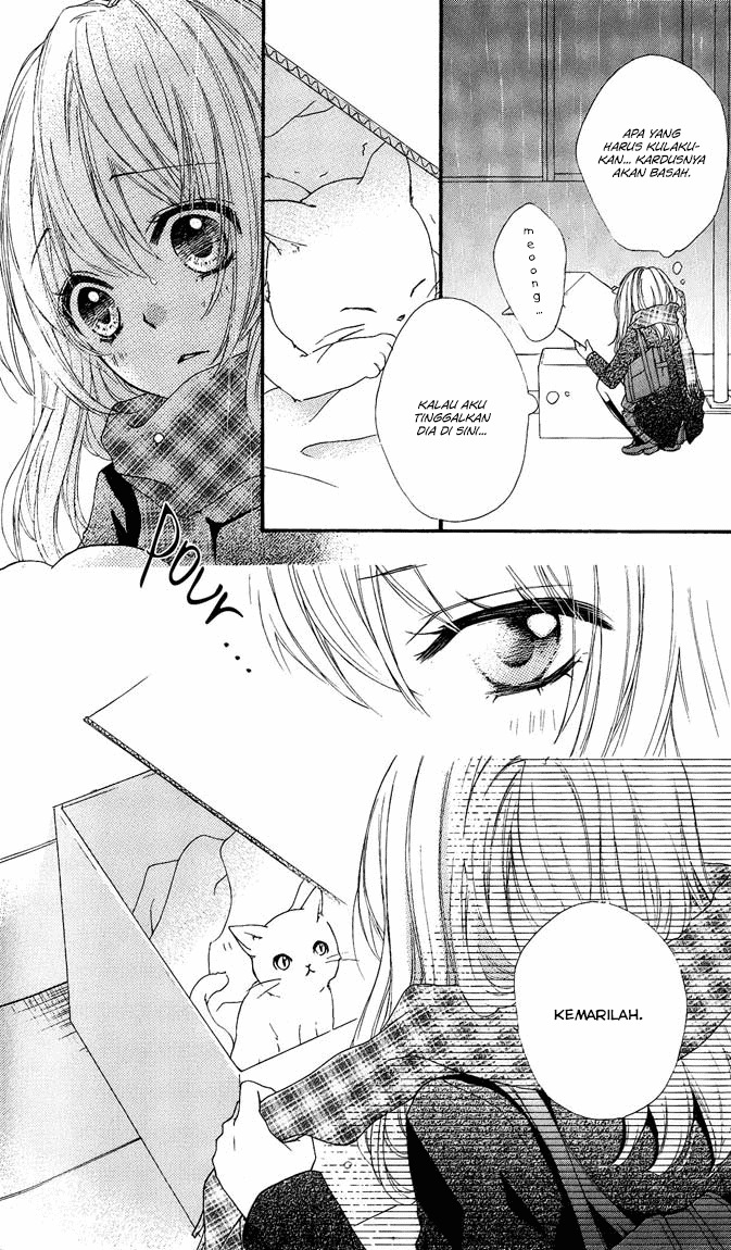 Hiyokoi Chapter 4 Gambar 35