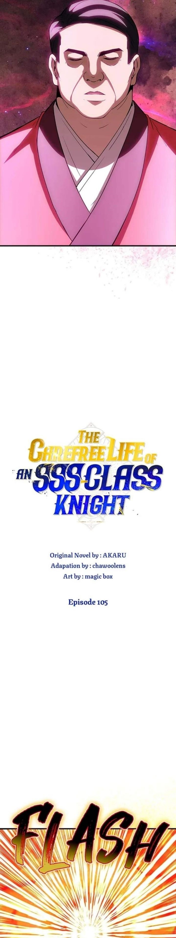 I have an SSS-rank Trait, but I want a Normal Life Chapter 105 Gambar 12