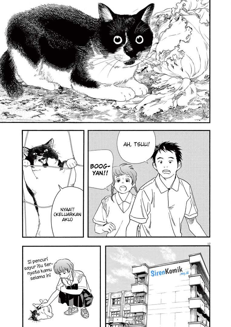 Insomniacs After School (Kimi wa Houkago Insomnia) Chapter 67 Gambar 18