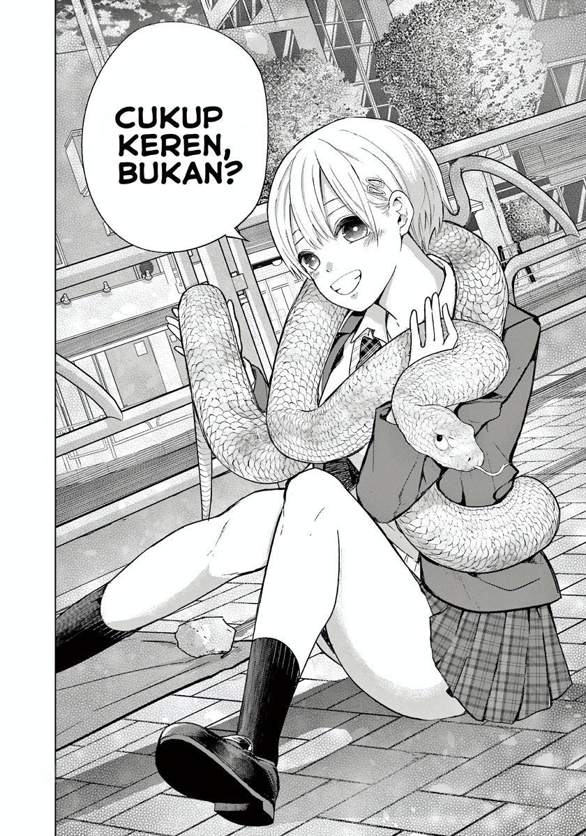 Koibami Shoujo Chapter 04 Gambar 18