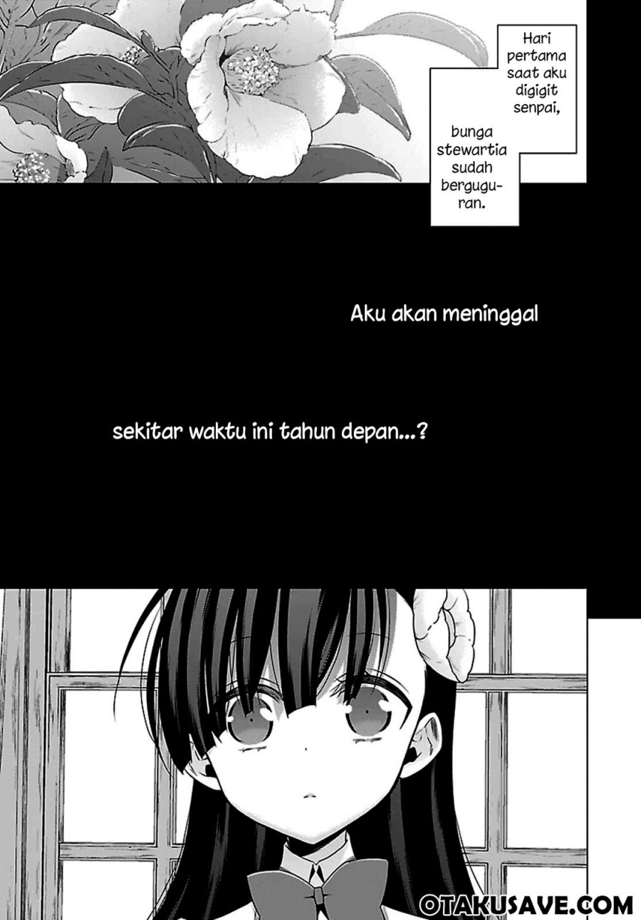 Kyuuketsuki-chan x Kouhai-chan Chapter 07 Gambar 3
