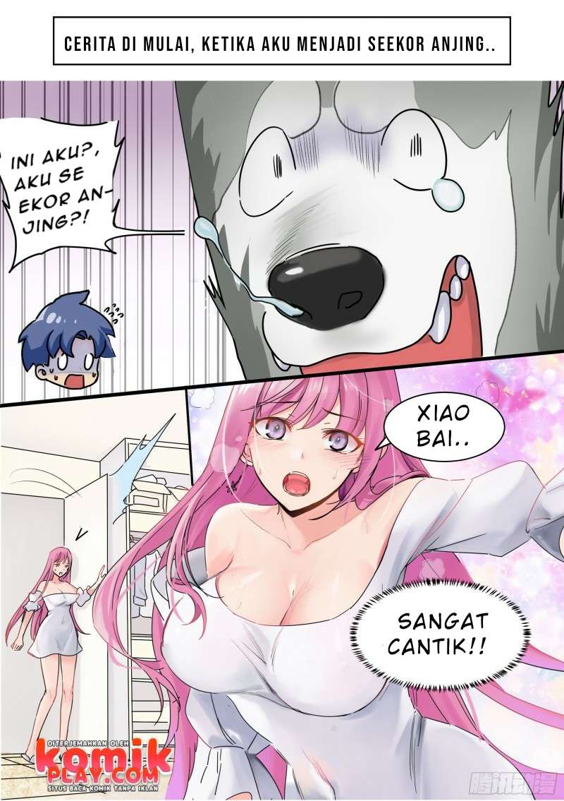 Live Stream: The Husky of the Goddess Chapter 00 Gambar 4