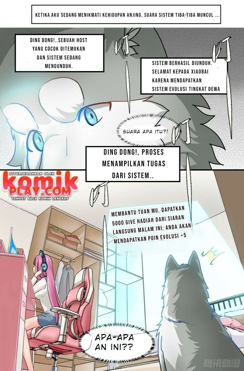 Live Stream: The Husky of the Goddess Chapter 00 Gambar 6