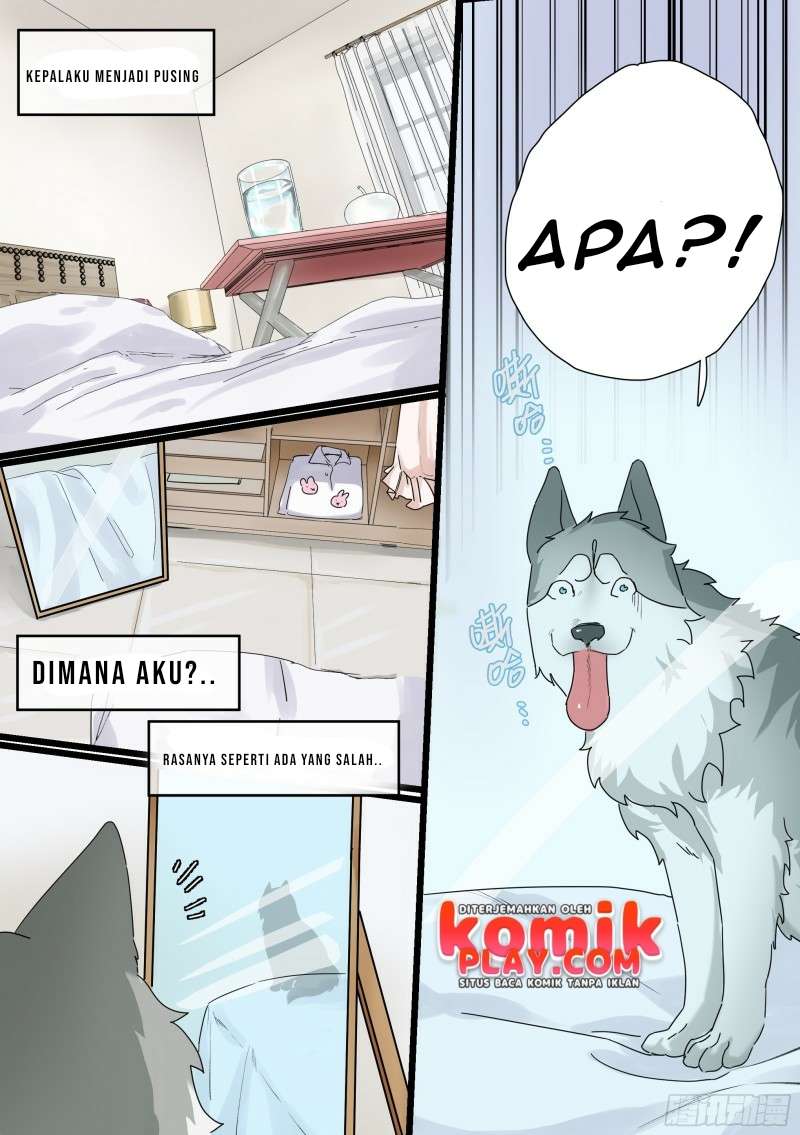 Live Stream: The Husky of the Goddess Chapter 01 Gambar 4