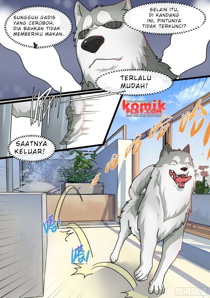 Live Stream: The Husky of the Goddess Chapter 01 Gambar 9