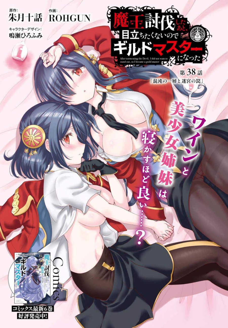 Maou Toubatsu Shita Ato, Medachitakunai node Guild Master ni Natta Chapter 38 Gambar 2