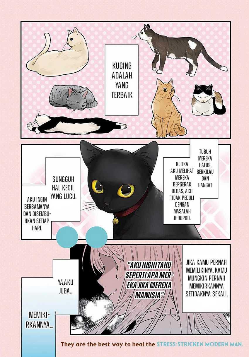 Mi-chan wa Kawaretai Chapter 01 Gambar 2