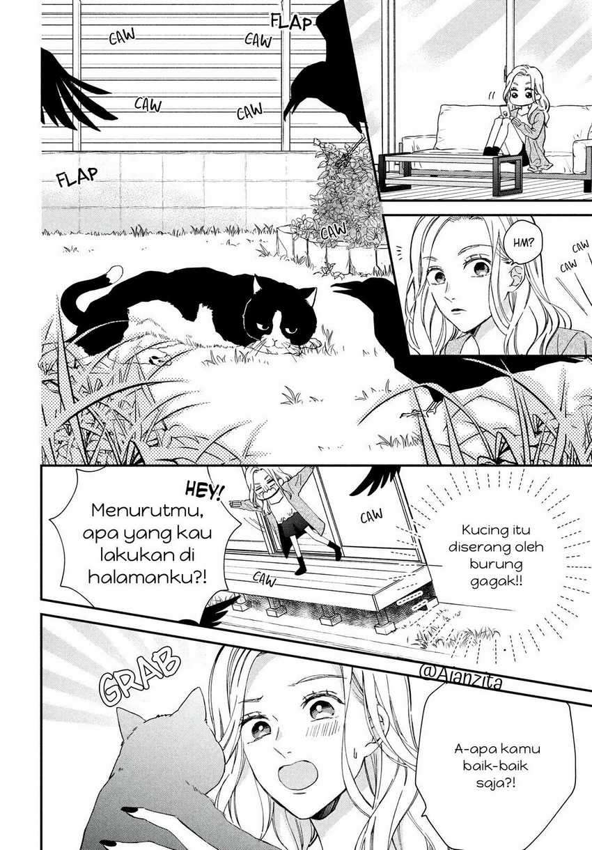 Neko to Kiss Chapter 01 Gambar 7