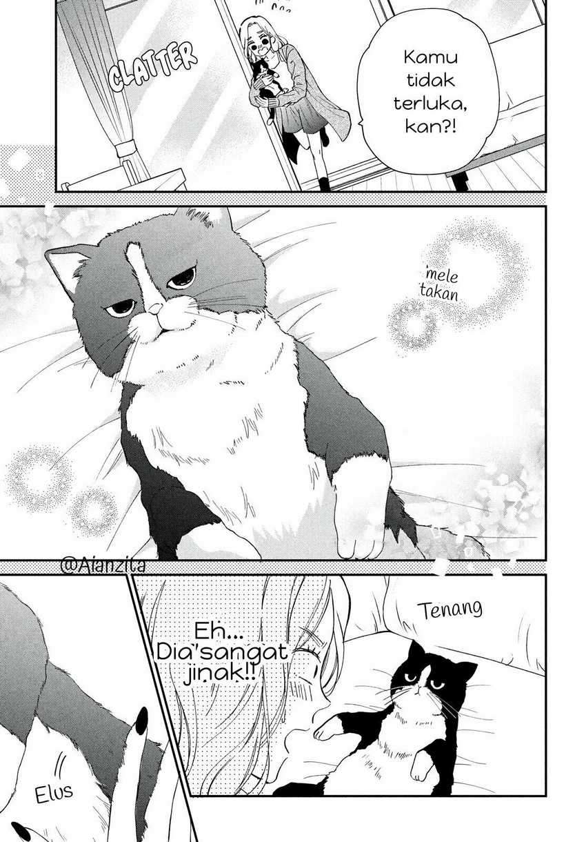 Neko to Kiss Chapter 01 Gambar 8