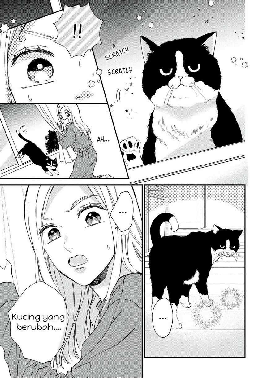 Neko to Kiss Chapter 01 Gambar 16
