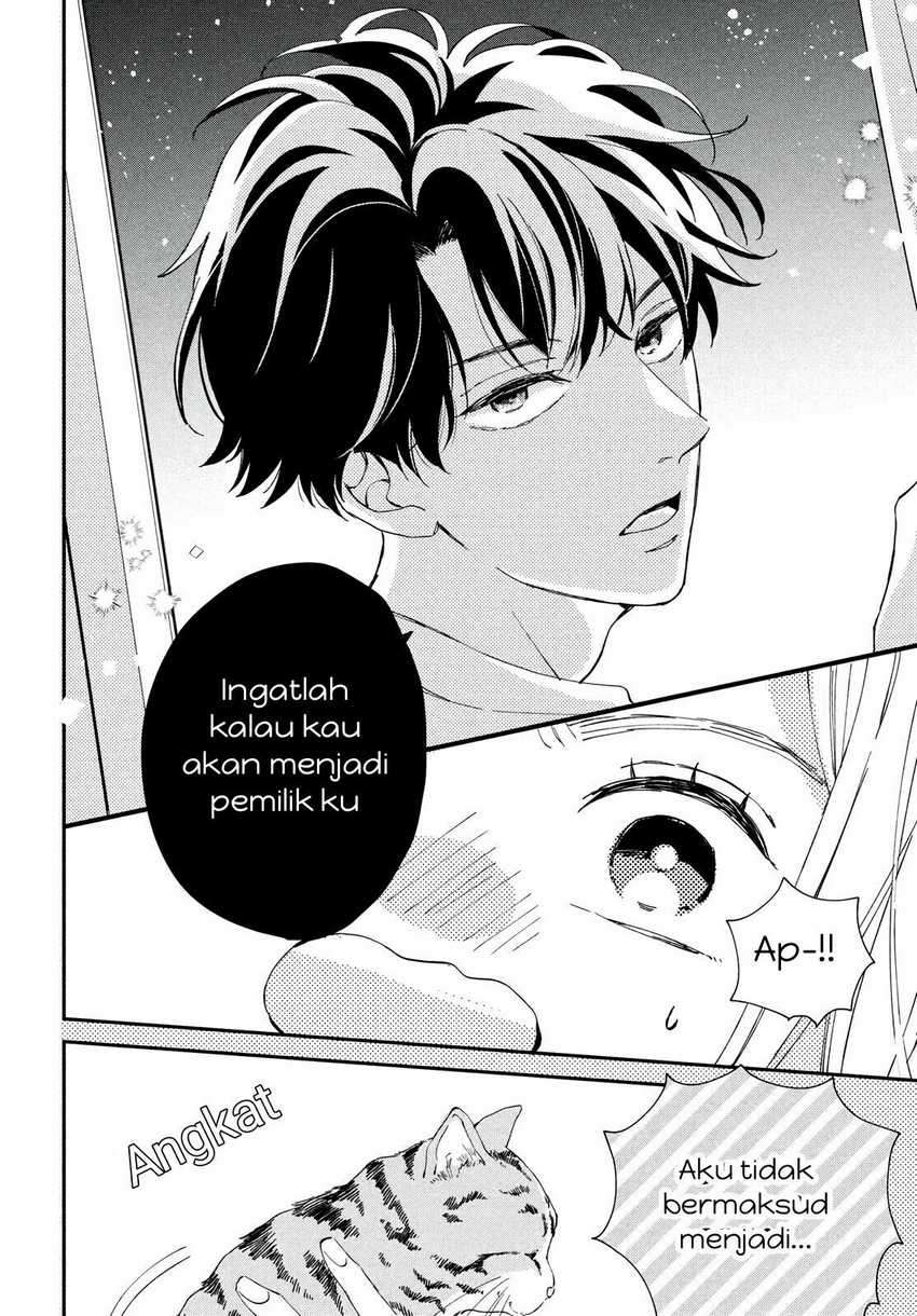 Neko to Kiss Chapter 01 Gambar 27