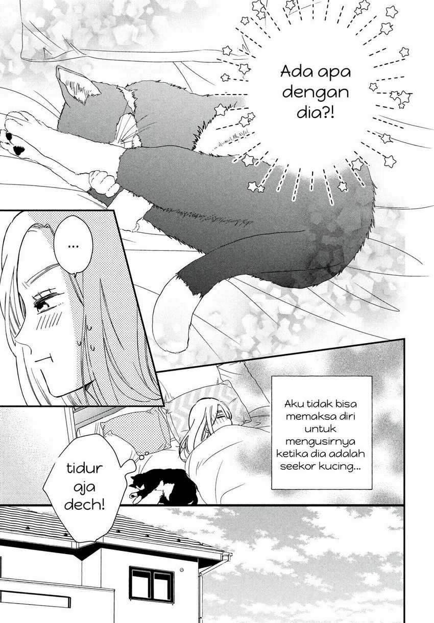 Neko to Kiss Chapter 01 Gambar 30