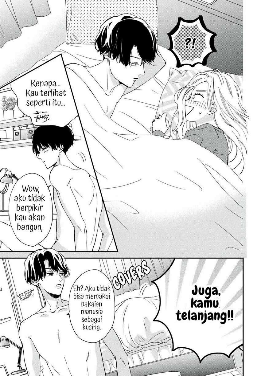 Neko to Kiss Chapter 01 Gambar 32