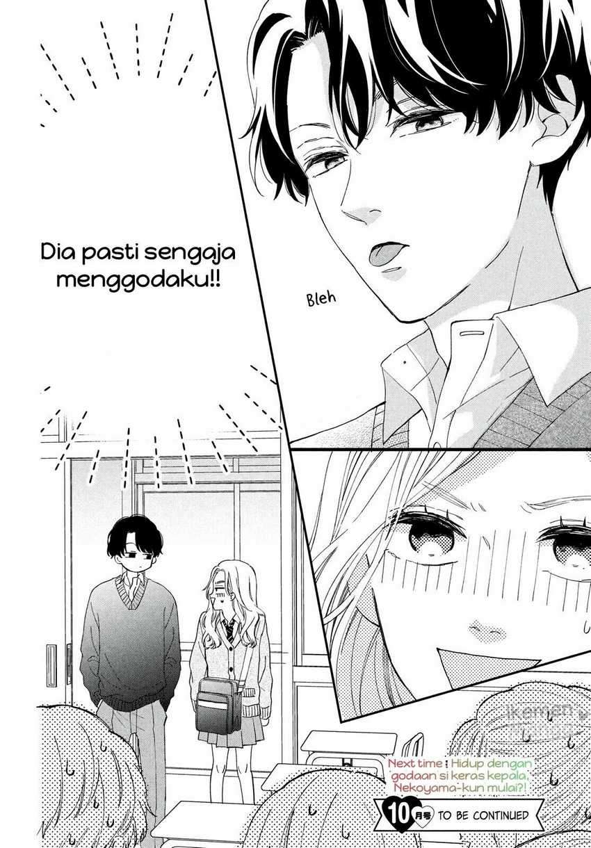 Neko to Kiss Chapter 01 Gambar 41