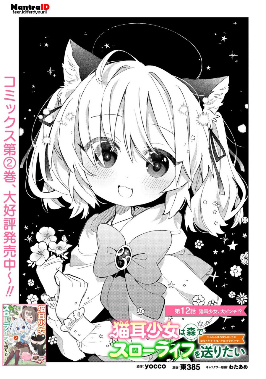 Nekomimi Shoujo wa Mori de Slow Life wo Okuritai: Mofumofu wa Shomou Shimashita ga, Seijo to ka Ouji-sama to ka wa Chuumongai desu Chapter 12.1 Gambar 2