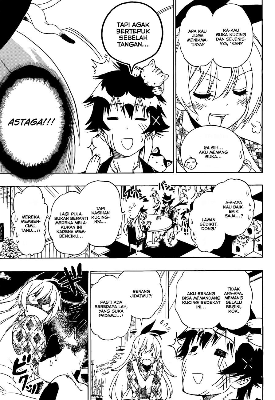 Nisekoi Chapter 174 Gambar 12