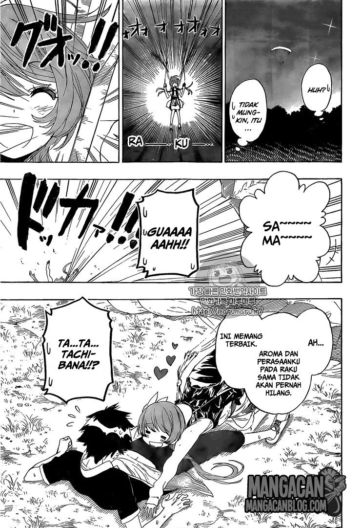 Nisekoi Chapter 219 Gambar 12