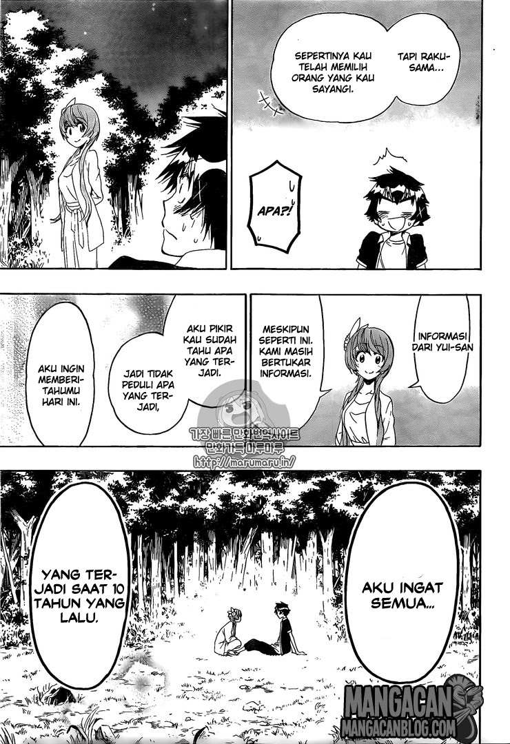 Nisekoi Chapter 219 Gambar 14