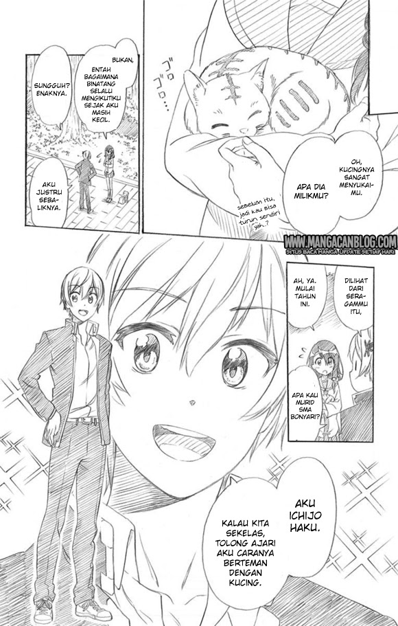 Nisekoi Chapter 229.5 Gambar 3