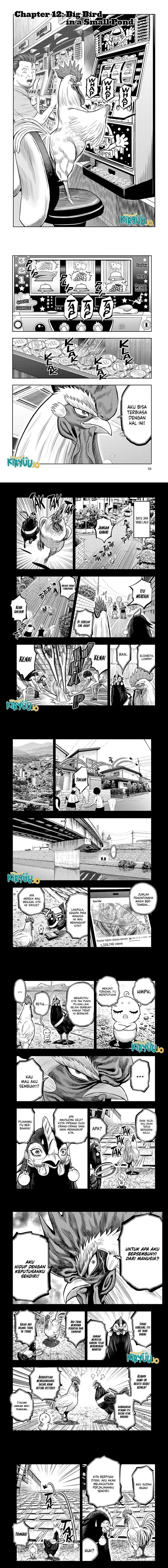 Rooster Fighter Chapter 12 Gambar 1