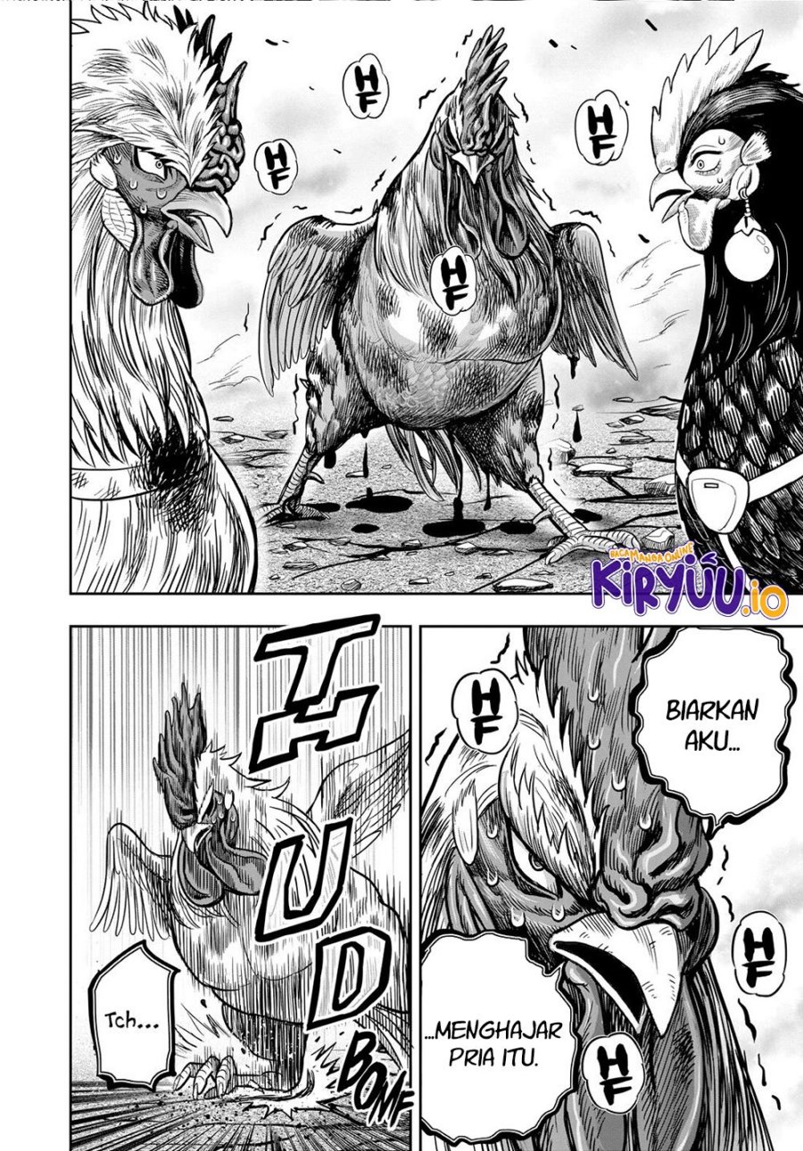 Rooster Fighter Chapter 26 Gambar 9