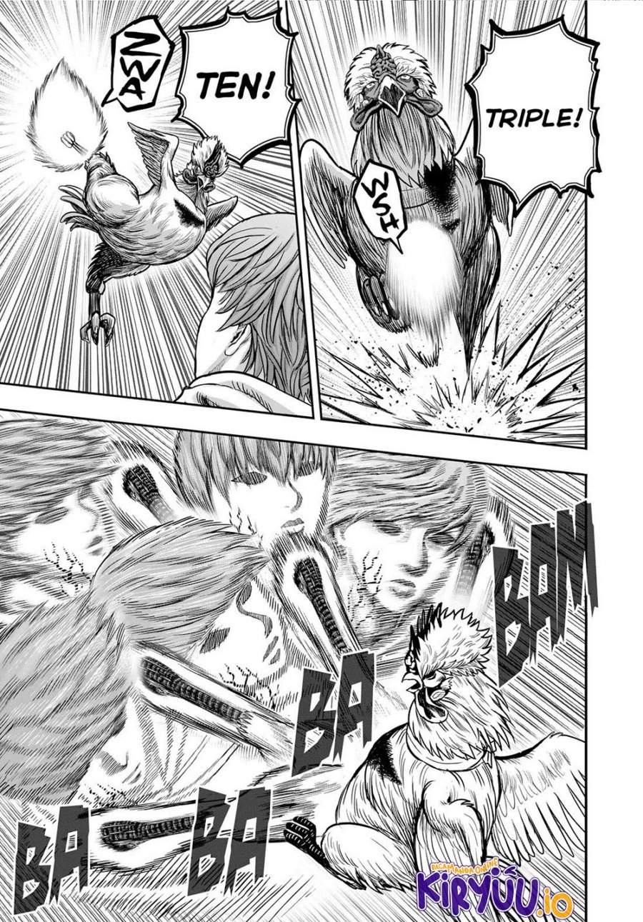 Rooster Fighter Chapter 26 Gambar 16