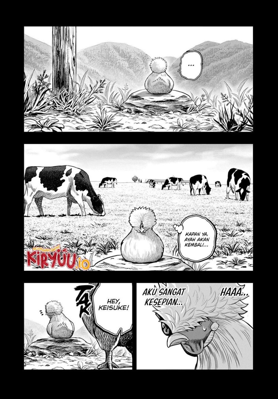 Rooster Fighter Chapter 27 Gambar 3
