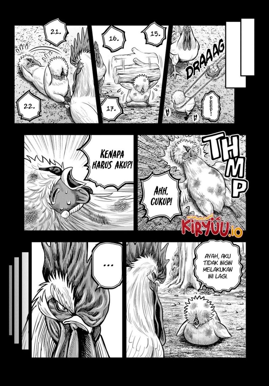 Rooster Fighter Chapter 27 Gambar 12