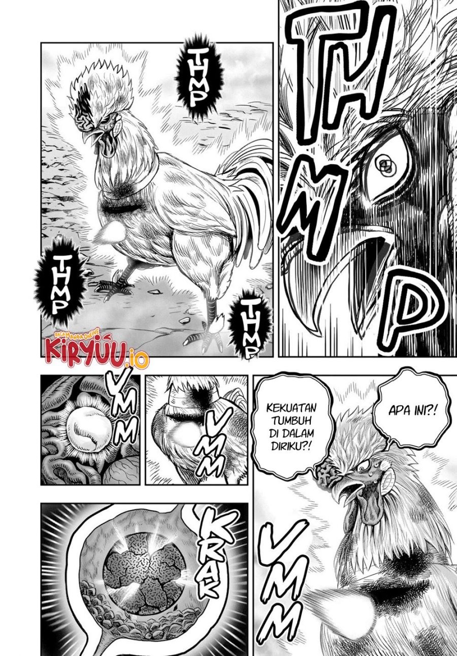 Rooster Fighter Chapter 27 Gambar 47